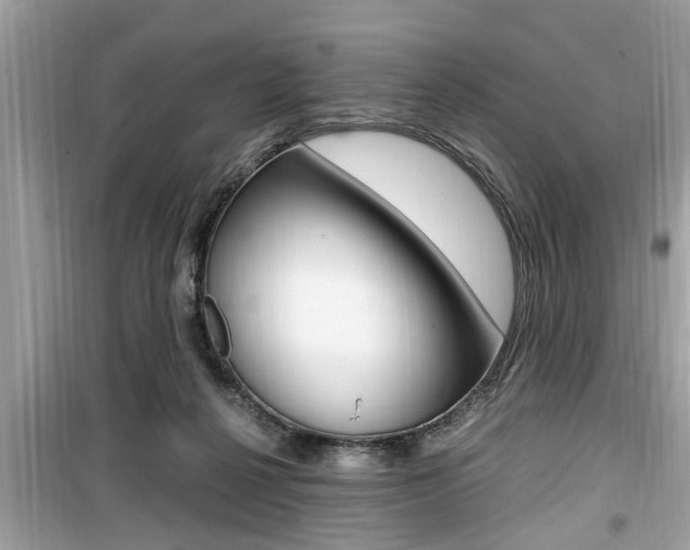 X0000099930264200805231005