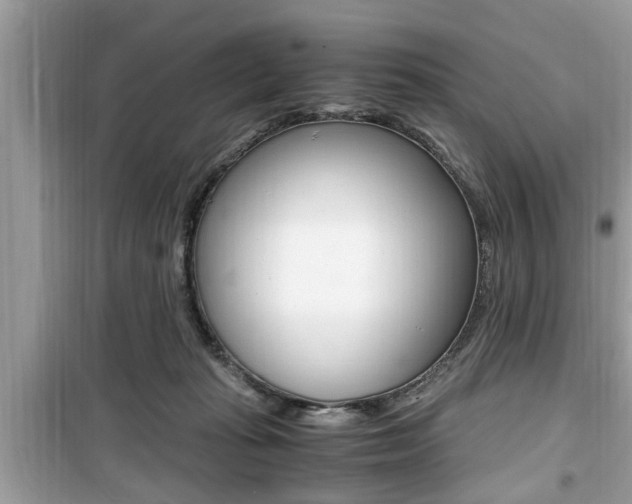 X0000099930269200805231005