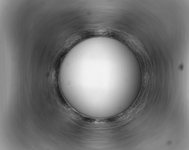 X0000099930270200805231005