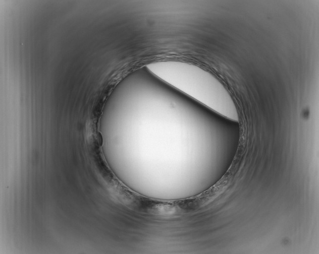 X0000099930272200805231005