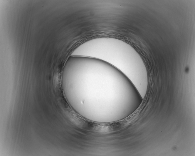 X0000099930276200805231005