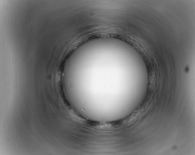 X0000099930278200805231005