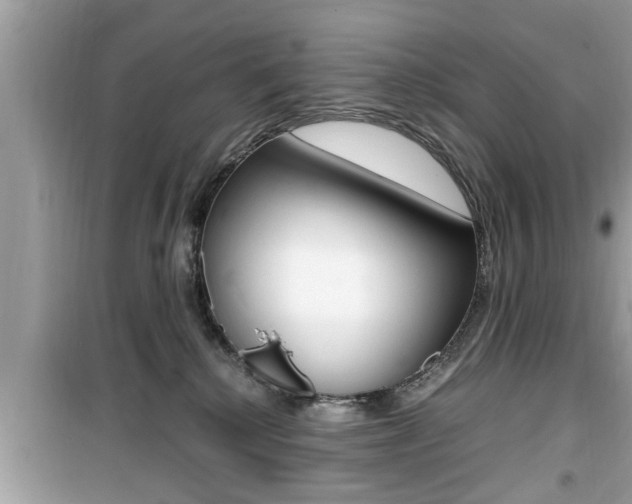 X0000099930280200805231005