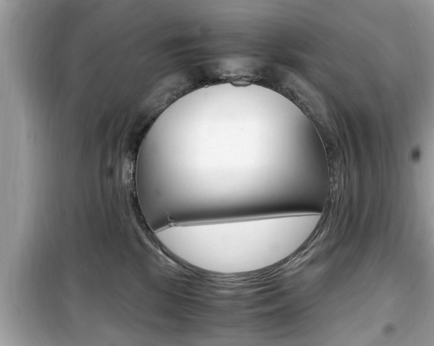 X0000099930281200805231005