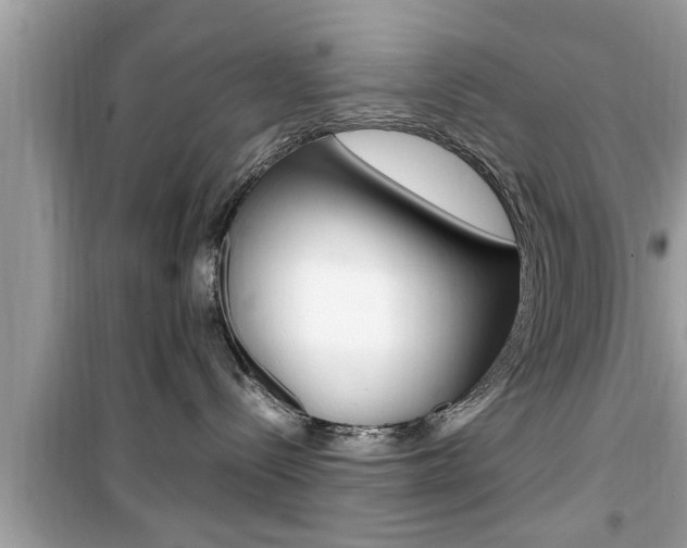 X0000099930288200805231006