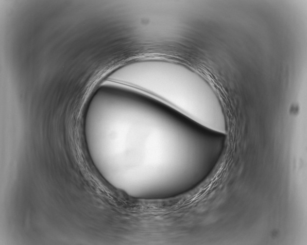 X0000099930289200805231005