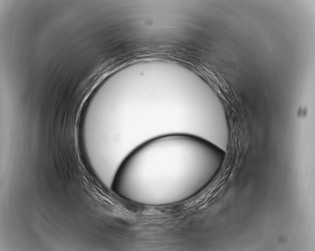 X0000099930290200805231005