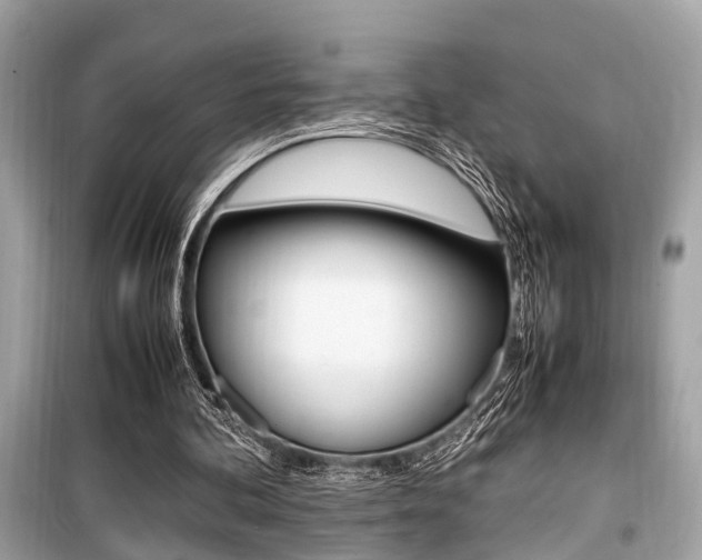 X0000099930292200805231005