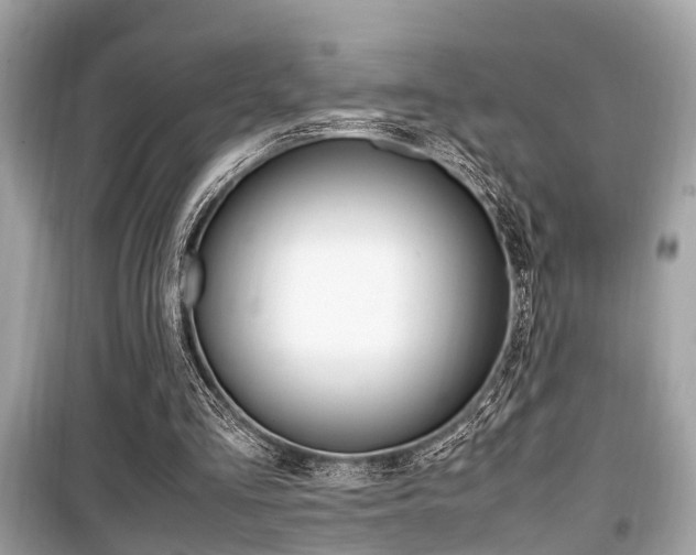 X0000099930293200805231005