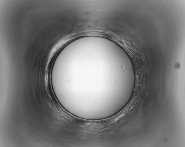 X0000099930294200805231005