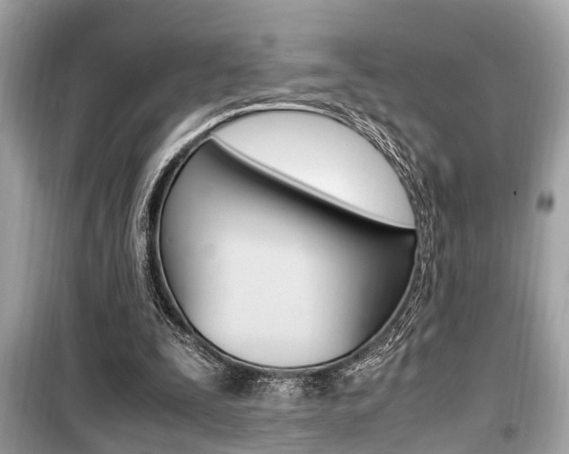 X0000099930295200805231005