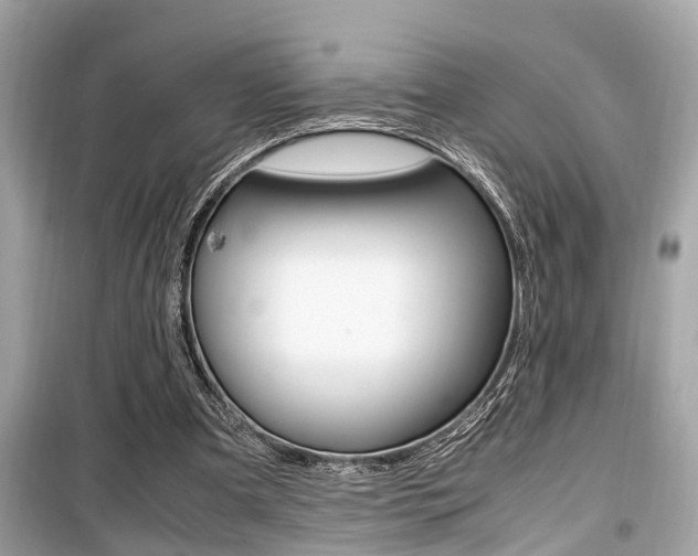 X0000099930297200805231005