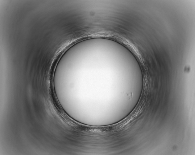X0000099930298200805231005