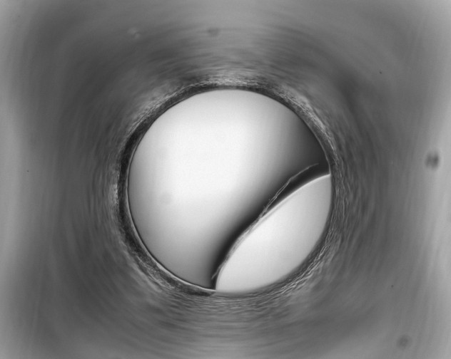X0000099930299200805231005