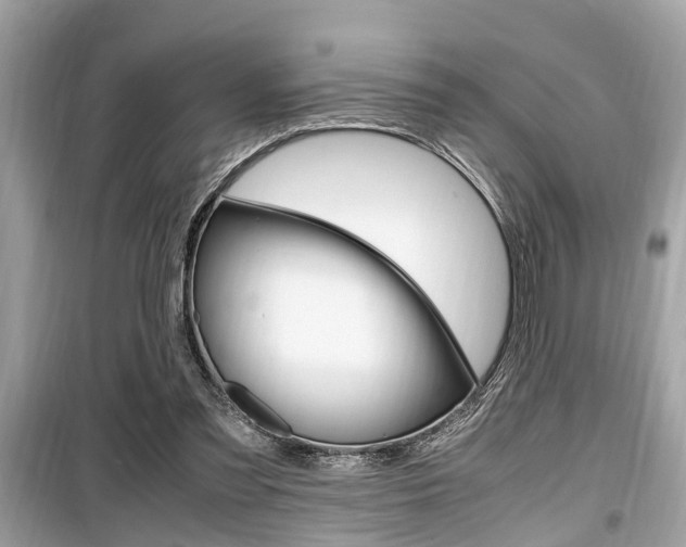 X0000099930301200805231005