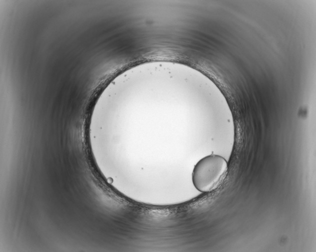 X0000099930302200805231005