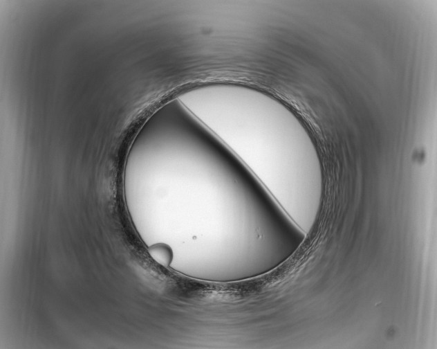 X0000099930303200805231005
