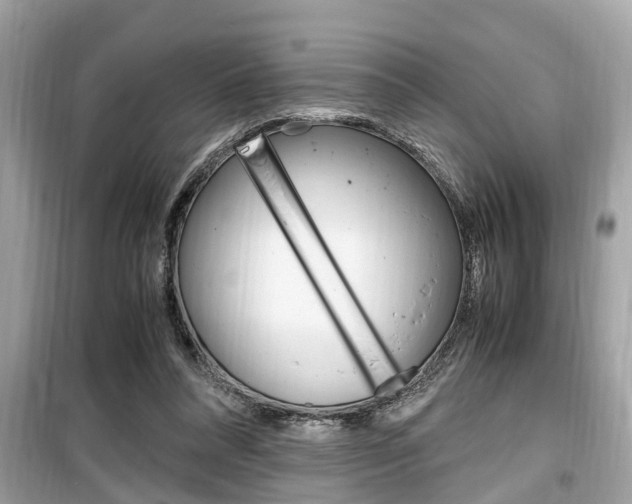 X0000099930304200805231005