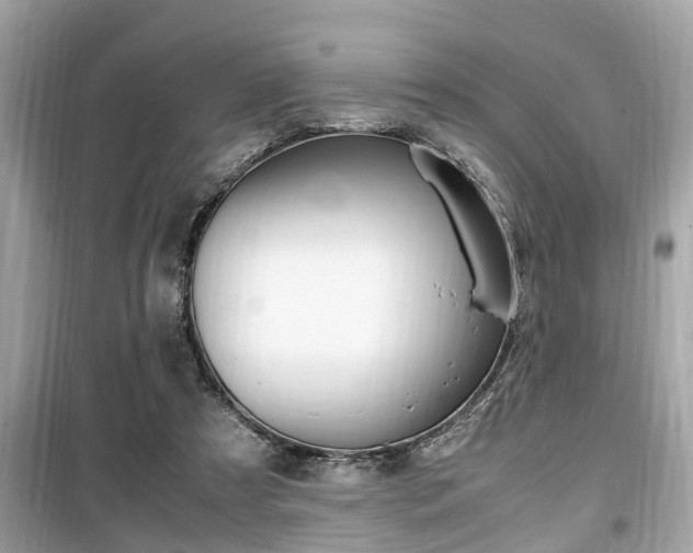 X0000099930305200805231005