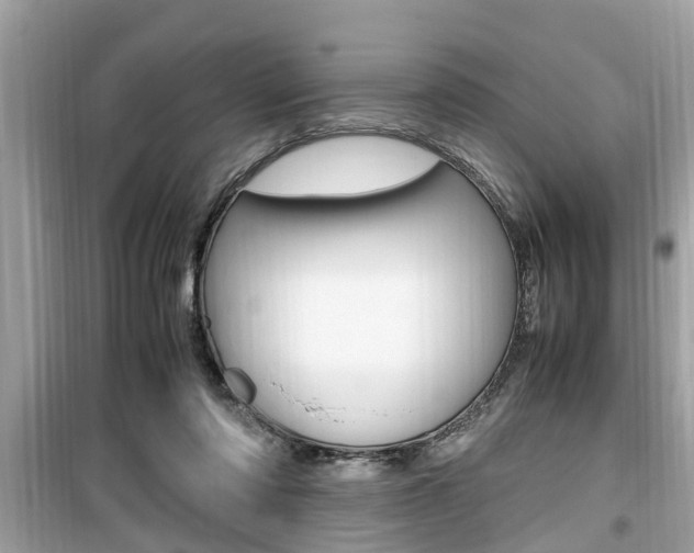 X0000099930310200805231005