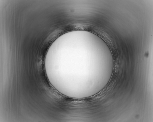 X0000099930314200805231005