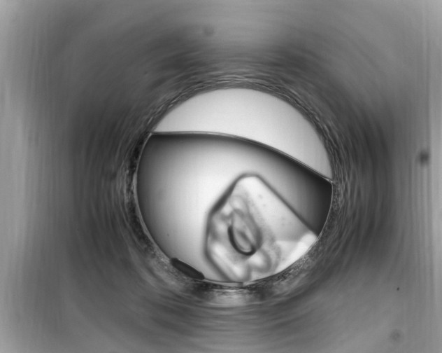 X0000099930316200805231005
