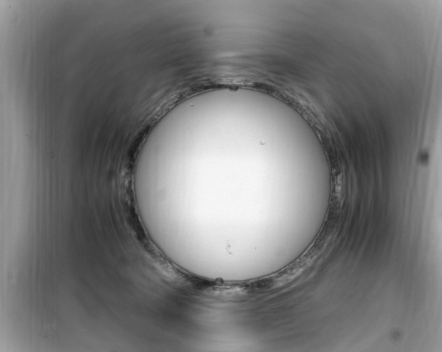 X0000099930322200805231005
