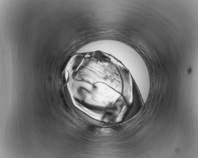 X0000099930324200805231004