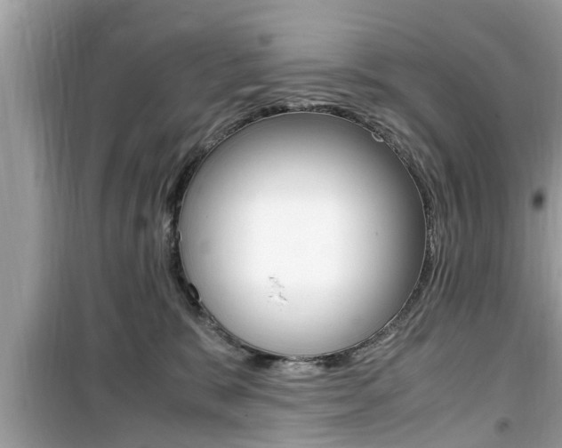 X0000099930327200805231004