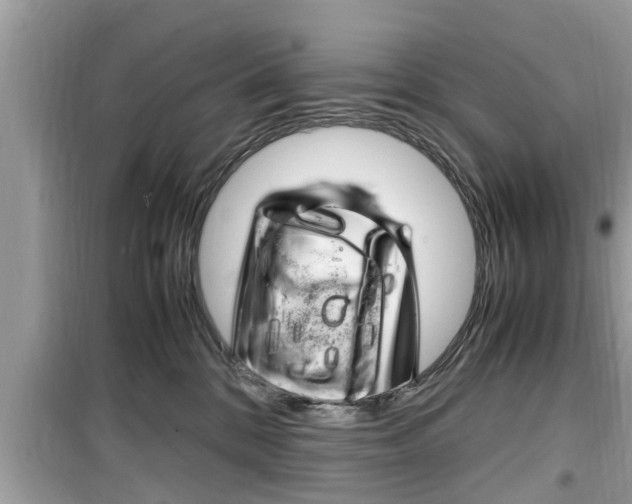 X0000099930328200805231004