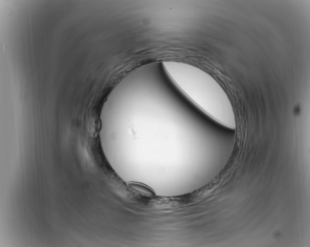 X0000099930331200805231004