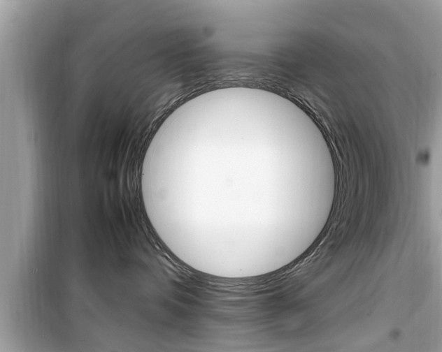 X0000099930336200805231004