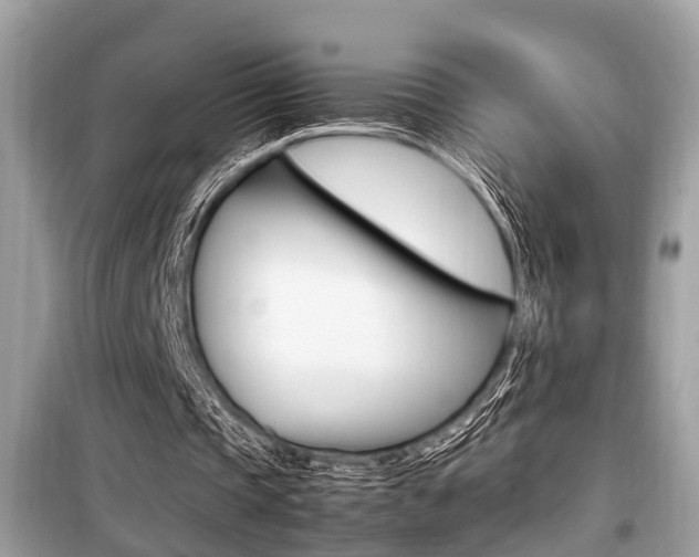 X0000099930337200805231004
