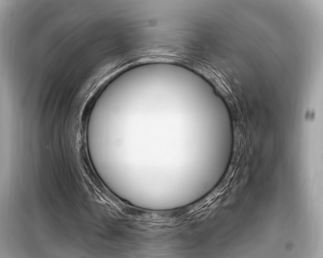 X0000099930338200805231004