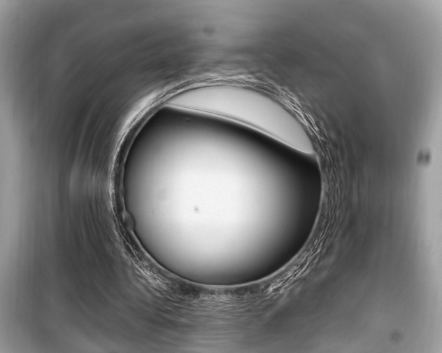 X0000099930340200805231004