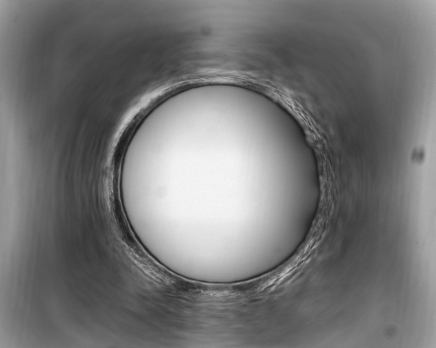 X0000099930342200805231004