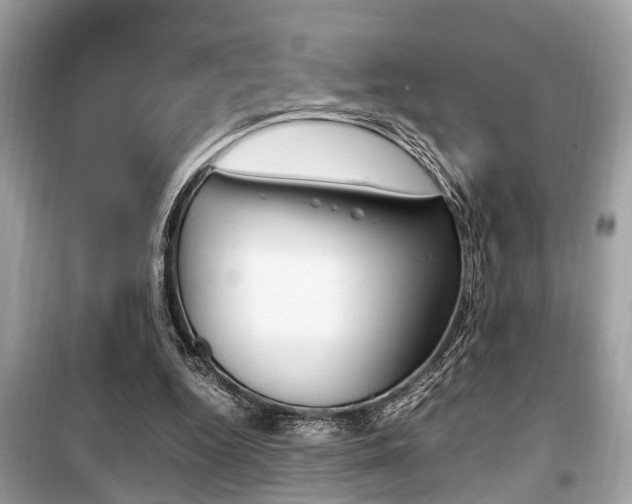 X0000099930344200805231004
