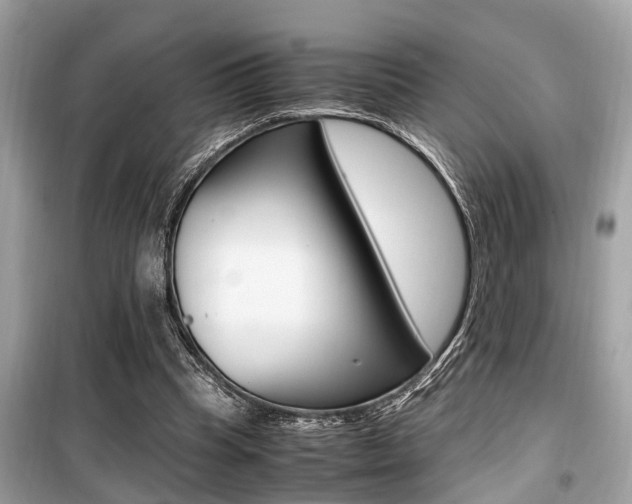 X0000099930345200805231004