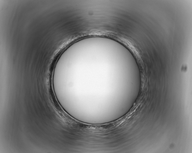 X0000099930346200805231004