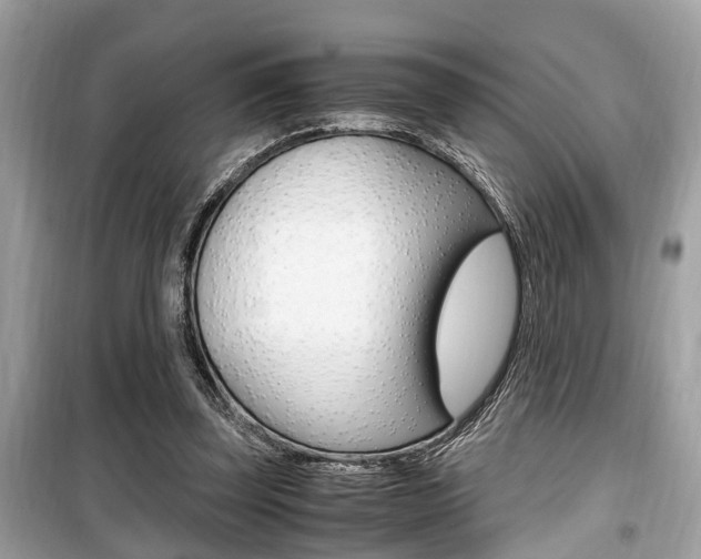 X0000099930347200805231004
