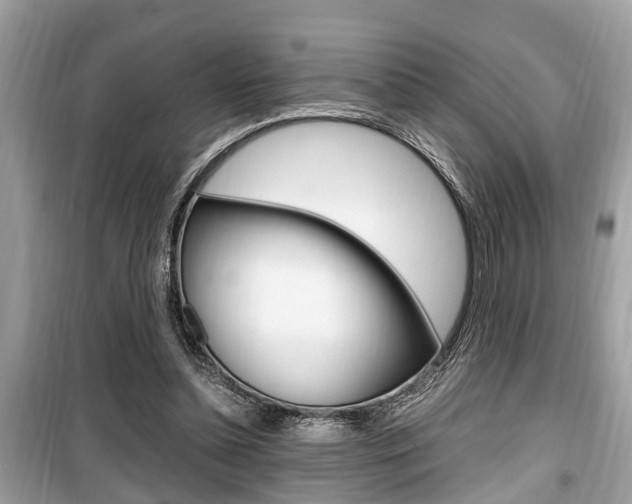 X0000099930348200805231004