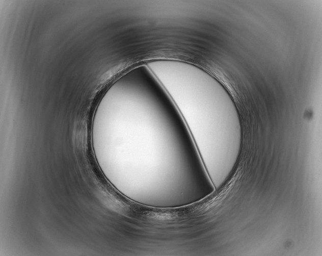 X0000099930349200805231004