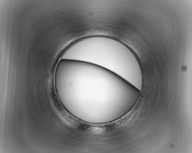 X0000099930352200805231004