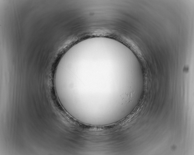 X0000099930354200805231004