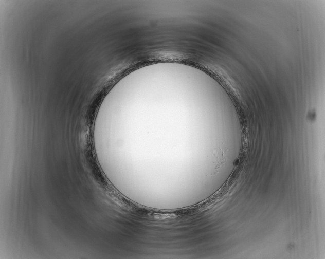 X0000099930355200805231004