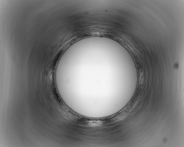 X0000099930363200805231004