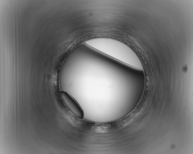 X0000099930368200805231004