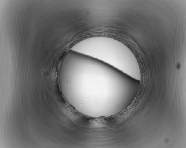 X0000099930372200805231004