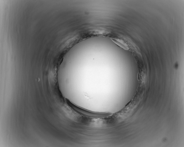 X0000099930376200805231004