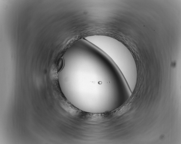 X0000099930384200805231004